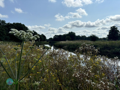Megamarsch #WirGehenWeiter - Sommer 2024 - Day 1 - From Coevorden to Nordhorn