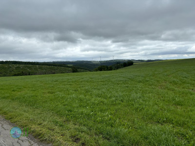 Ultramarsch Xtrem Eifel 2024