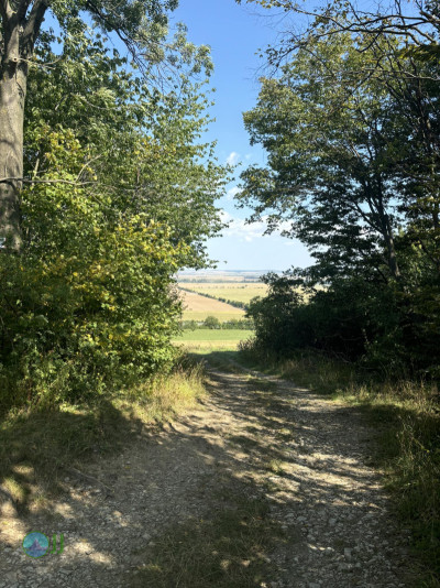Harzer Klosterwanderweg - Day 2 - From Blankenburg to Ilsenburg